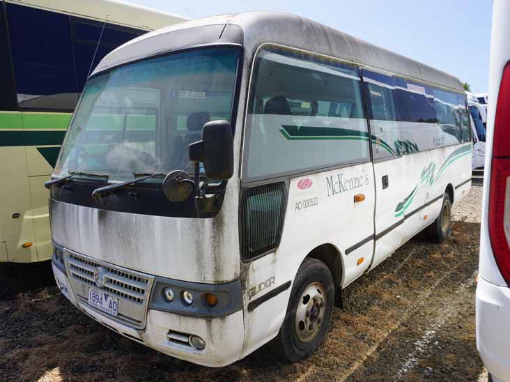 McKenzies Golden Dragon Glider 1894AO